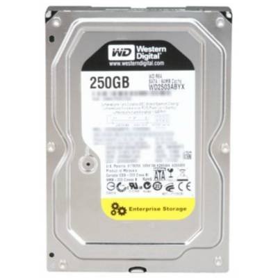 Western Digital WD2503ABYX 3.5" RE4 SATA 250GB SATA 3Gb/s 7200 64MB RE4 Server Hard Drive